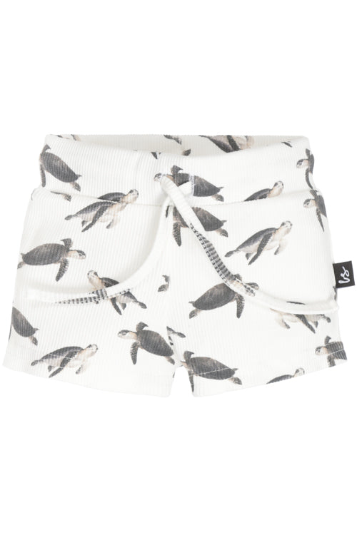 Rib jersey short little turtles