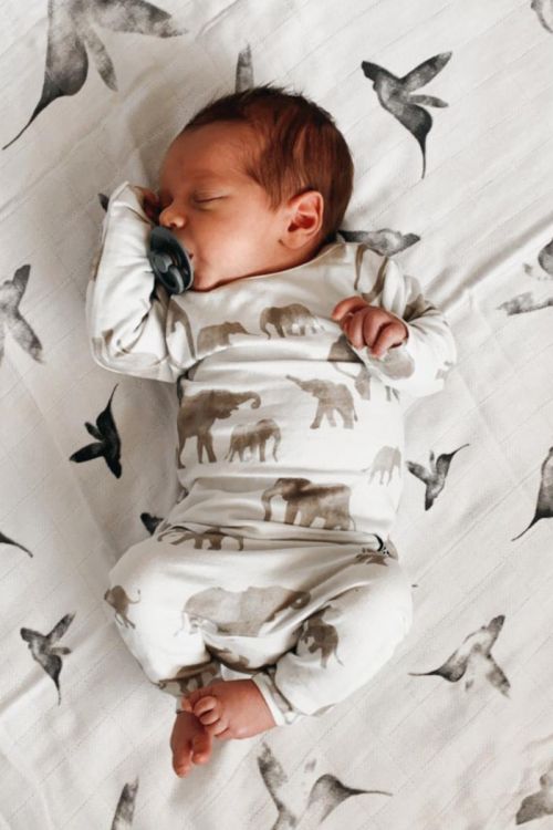 Langarmshirt mit kleinem Elefantenmotiv (abgerundeter Rücken)